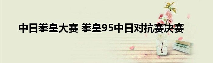 中日拳皇大赛 拳皇95中日对抗赛决赛