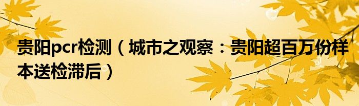 贵阳pcr检测（城市之观察：贵阳超百万份样本送检滞后）