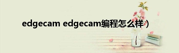 edgecam edgecam编程怎么样）