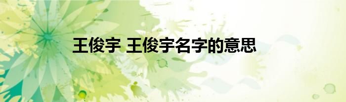 王俊宇 王俊宇名字的意思