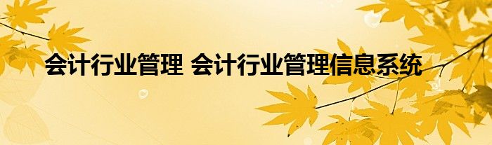 会计行业管理 会计行业管理信息系统