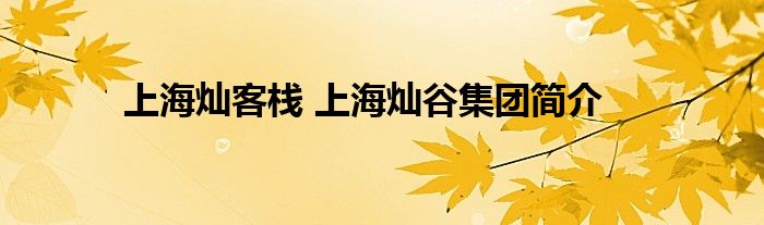 上海灿客栈 上海灿谷集团简介