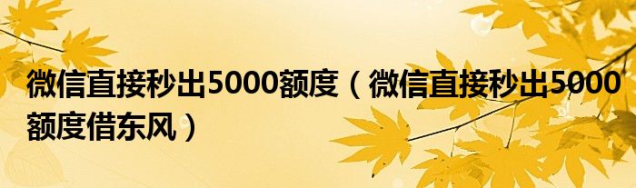 微信直接秒出5000额度（微信直接秒出5000额度借东风）