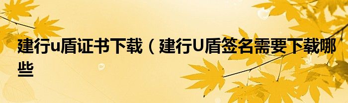 建行u盾证书下载（建行U盾签名需要下载哪些