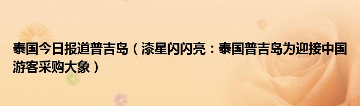 泰国今日报道普吉岛（漆星闪闪亮：泰国普吉岛为迎接中国游客采购大象）