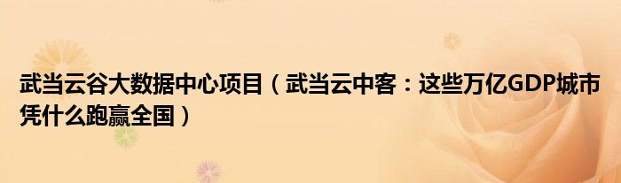 武当云谷大数据中心项目（武当云中客：这些万亿GDP城市凭什么跑赢全国）