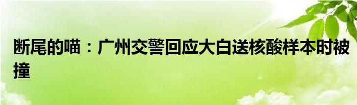 断尾的喵：广州交警回应大白送核酸样本时被撞