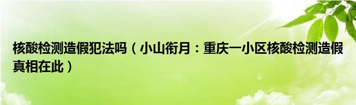 核酸检测造假犯法吗（小山衔月：重庆一小区核酸检测造假真相在此）