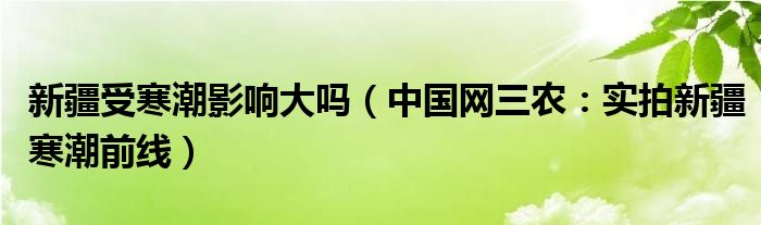 新疆受寒潮影响大吗（中国网三农：实拍新疆寒潮前线）