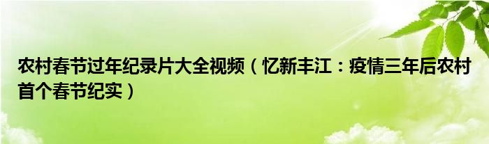 农村春节过年纪录片大全视频（忆新丰江：疫情三年后农村首个春节纪实）