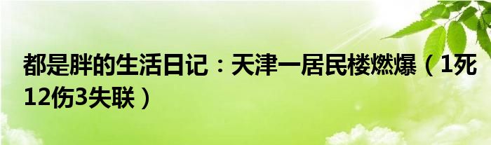 都是胖的生活日记：天津一居民楼燃爆（1死12伤3失联）