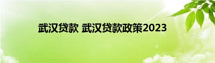 武汉贷款 武汉贷款政策2023