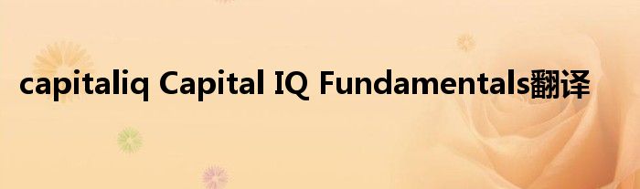 capitaliq Capital IQ Fundamentals翻译