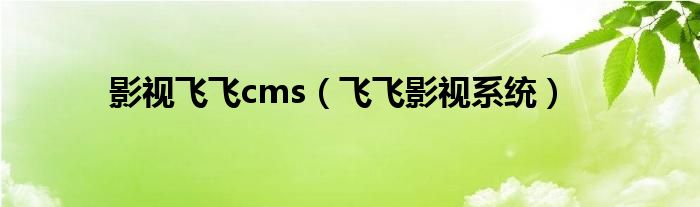 影视飞飞cms（飞飞影视系统）