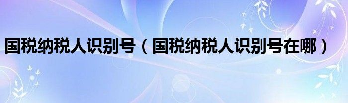 国税纳税人识别号（国税纳税人识别号在哪）