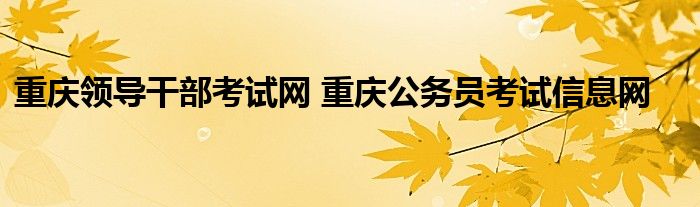 重庆领导干部考试网 重庆公务员考试信息网