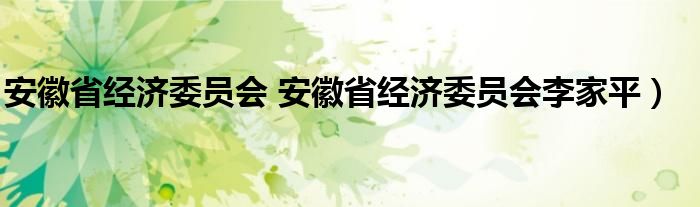 安徽省经济委员会 安徽省经济委员会李家平）