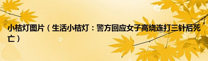 小桔灯图片（生活小桔灯：警方回应女子高烧连打三针后死亡）