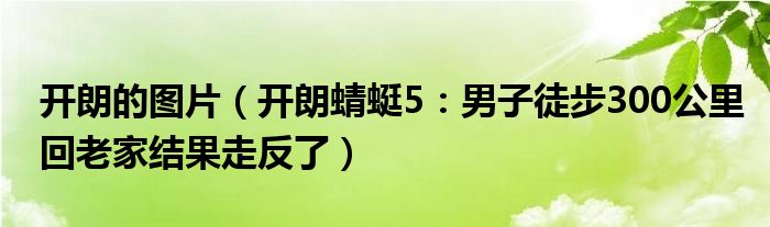 开朗的图片（开朗蜻蜓5：男子徒步300公里回老家结果走反了）