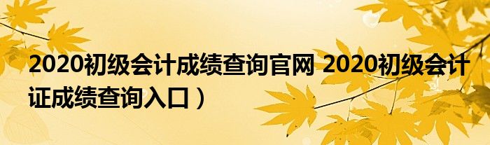 2020初级会计成绩查询官网 2020初级会计证成绩查询入口）