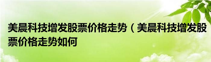 美晨科技增发股票价格走势（美晨科技增发股票价格走势如何