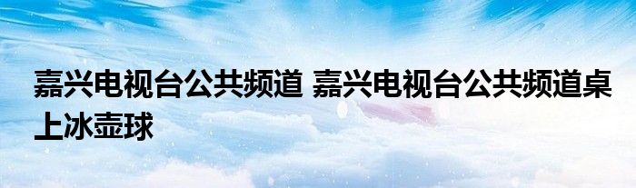 嘉兴电视台公共频道 嘉兴电视台公共频道桌上冰壶球