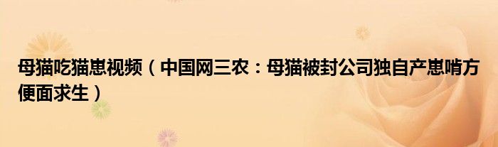 母猫吃猫崽视频（中国网三农：母猫被封公司独自产崽啃方便面求生）