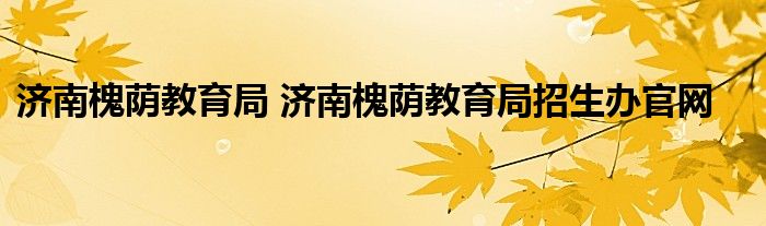 济南槐荫教育局 济南槐荫教育局招生办官网