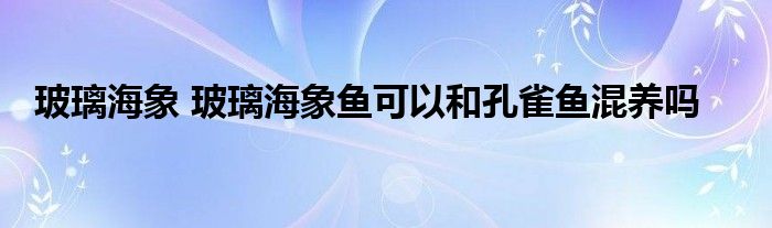 玻璃海象 玻璃海象鱼可以和孔雀鱼混养吗