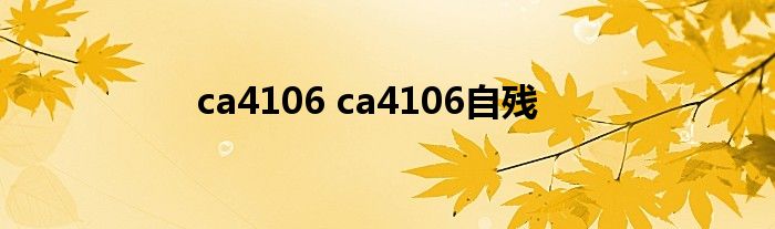 ca4106 ca4106自残