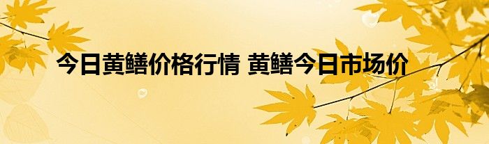 今日黄鳝价格行情 黄鳝今日市场价