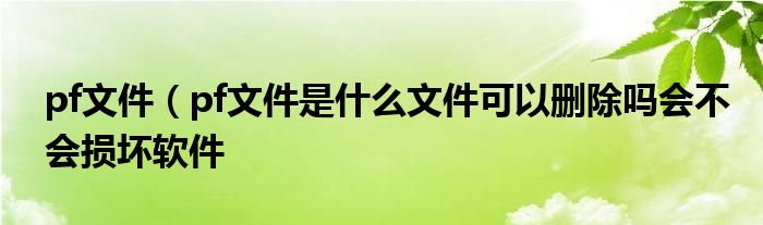 pf文件（pf文件是什么文件可以删除吗会不会损坏软件