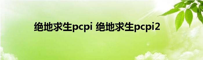 绝地求生pcpi 绝地求生pcpi2