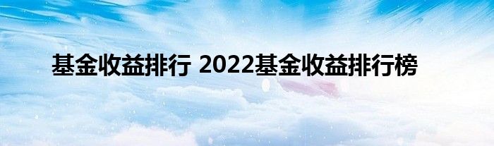 基金收益排行 2022基金收益排行榜