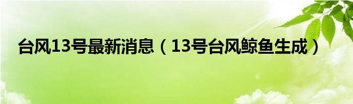 台风13号最新消息（13号台风鲸鱼生成）