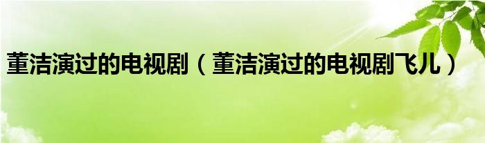 董洁演过的电视剧（董洁演过的电视剧飞儿）