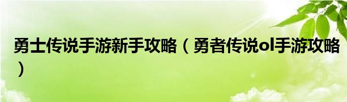 勇士传说手游新手攻略（勇者传说ol手游攻略）