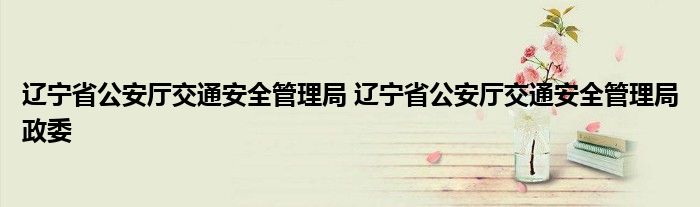 辽宁省公安厅交通安全管理局 辽宁省公安厅交通安全管理局政委