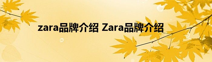 zara品牌介绍 Zara品牌介绍