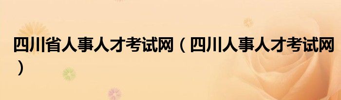 四川省人事人才考试网（四川人事人才考试网）