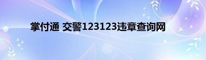 掌付通 交警123123违章查询网