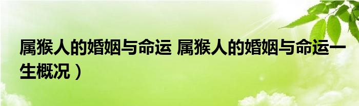 属猴人的婚姻与命运 属猴人的婚姻与命运一生概况）