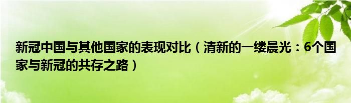 新冠中国与其他国家的表现对比（清新的一缕晨光：6个国家与新冠的共存之路）