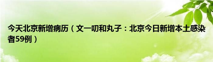 今天北京新增病历（文一叨和丸子：北京今日新增本土感染者59例）