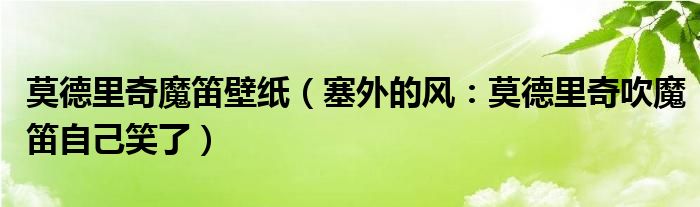 莫德里奇魔笛壁纸（塞外的风：莫德里奇吹魔笛自己笑了）