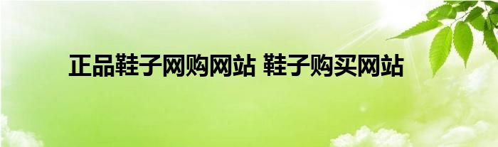 正品鞋子网购网站 鞋子购买网站