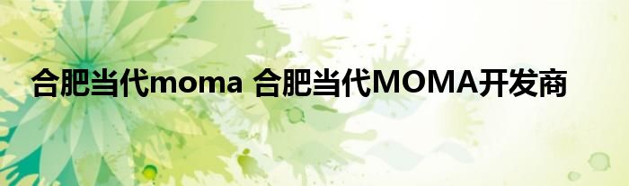 合肥当代moma 合肥当代MOMA开发商