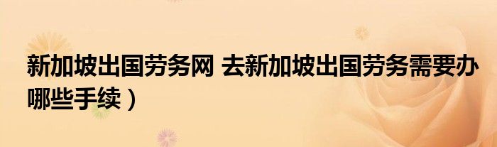 新加坡出国劳务网 去新加坡出国劳务需要办哪些手续）