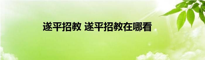 遂平招教 遂平招教在哪看