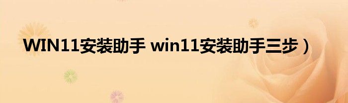 WIN11安装助手 win11安装助手三步）